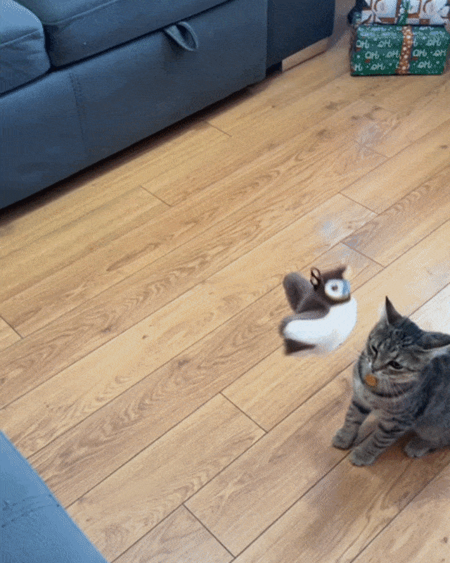 PawJoy - Interactive Bird